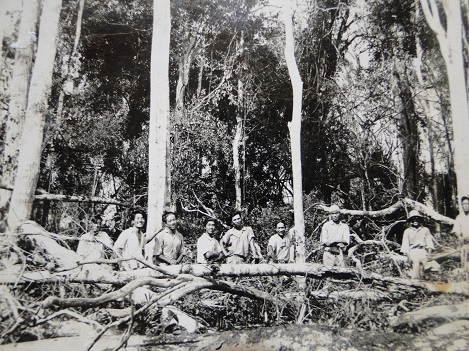 14 Família Kimura No Início Da Colonização De Jussara